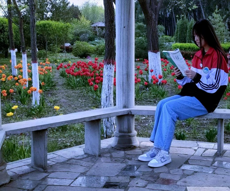 读书长才