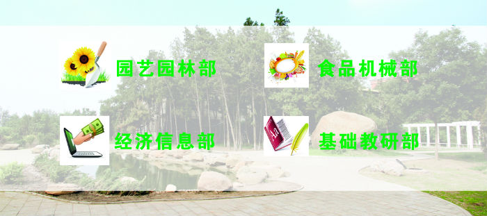教学机构.jpg