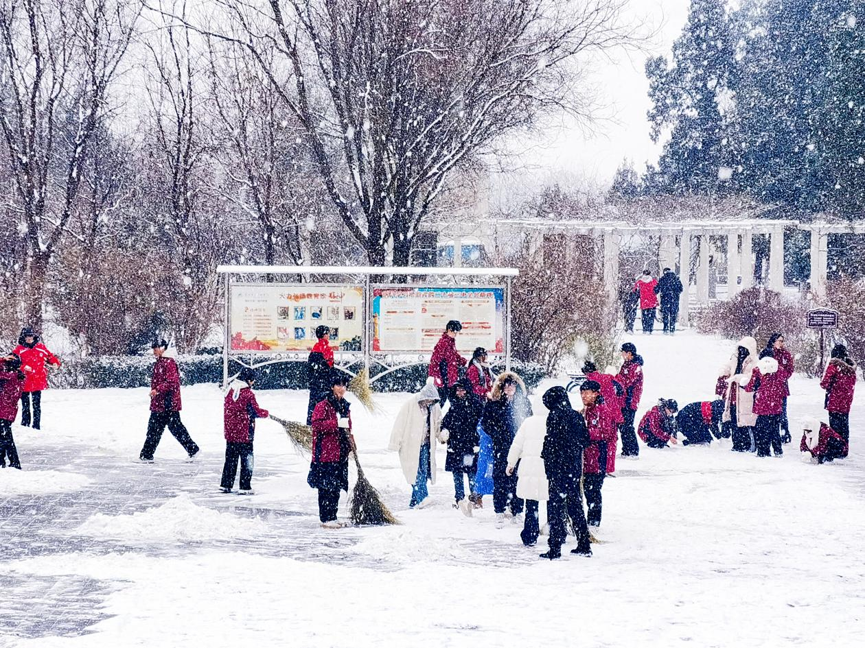 图片3.png 图片3.png